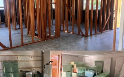 The Importance of Asbestos Removal and Abatement
