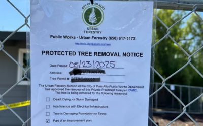 Protected Tree Removal Notice Posted