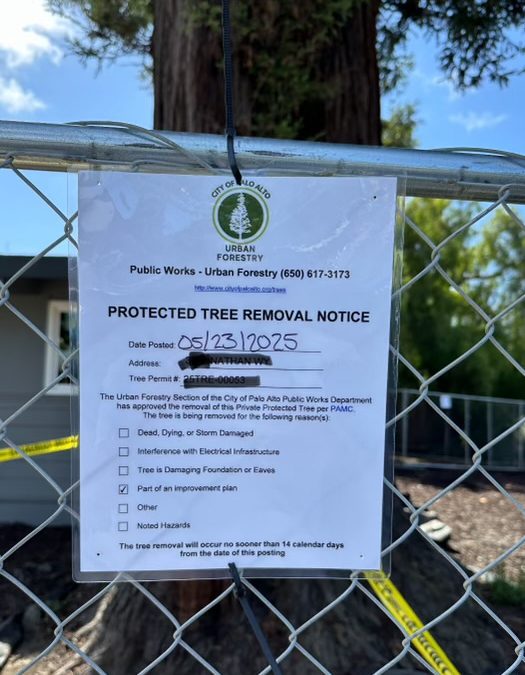 Protected Tree Removal Notice Posted